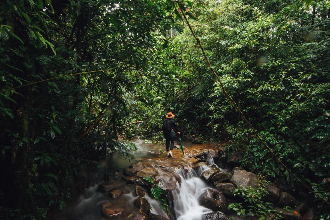 La Tigra Rainforest Lodge La Fortuna Εξωτερικό φωτογραφία