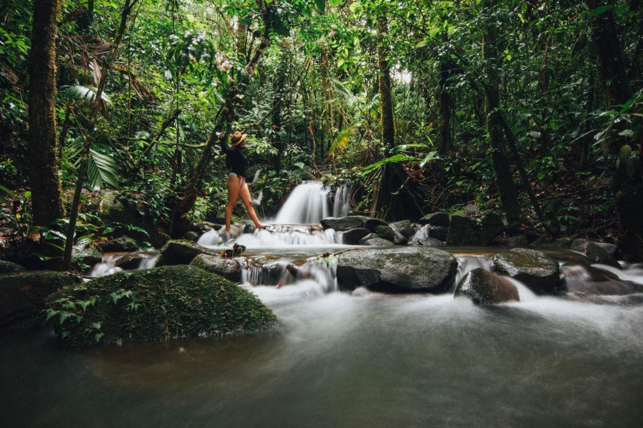 La Tigra Rainforest Lodge La Fortuna Εξωτερικό φωτογραφία