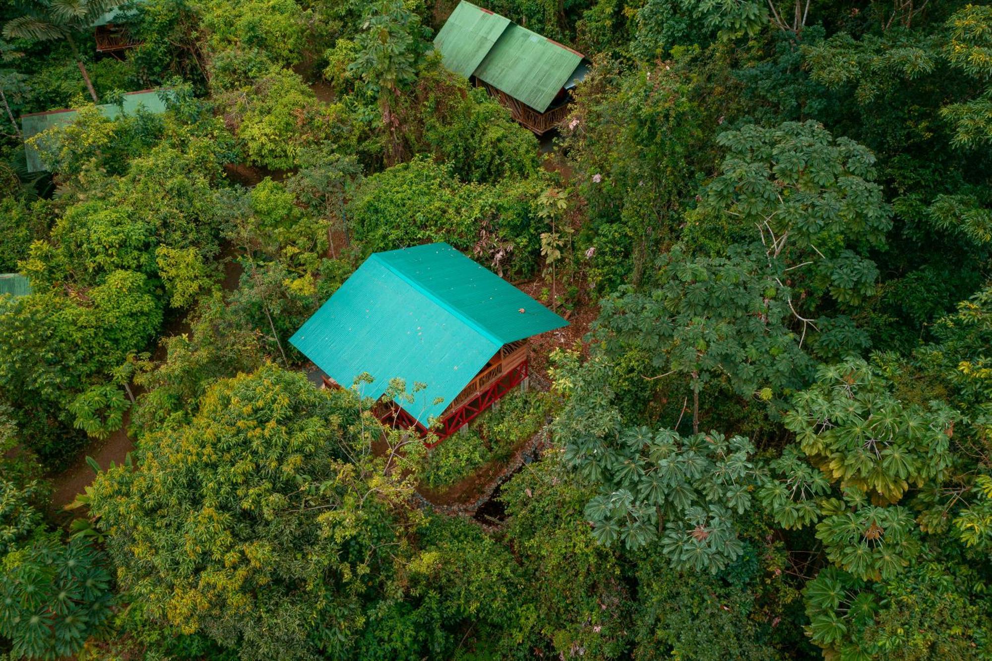 La Tigra Rainforest Lodge La Fortuna Εξωτερικό φωτογραφία