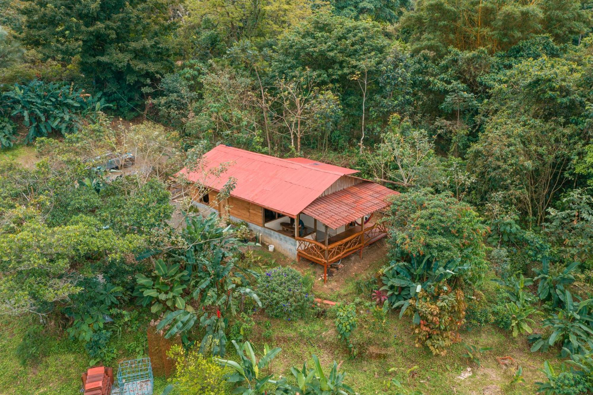 La Tigra Rainforest Lodge La Fortuna Εξωτερικό φωτογραφία