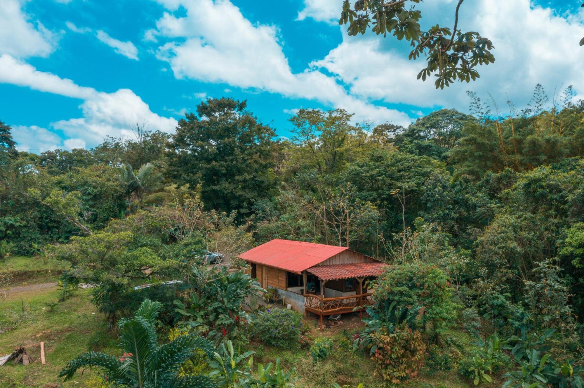 La Tigra Rainforest Lodge La Fortuna Εξωτερικό φωτογραφία