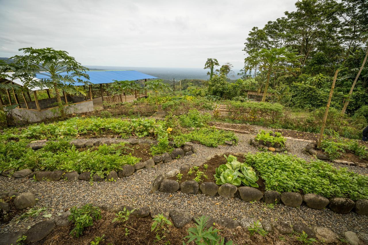 La Tigra Rainforest Lodge La Fortuna Εξωτερικό φωτογραφία