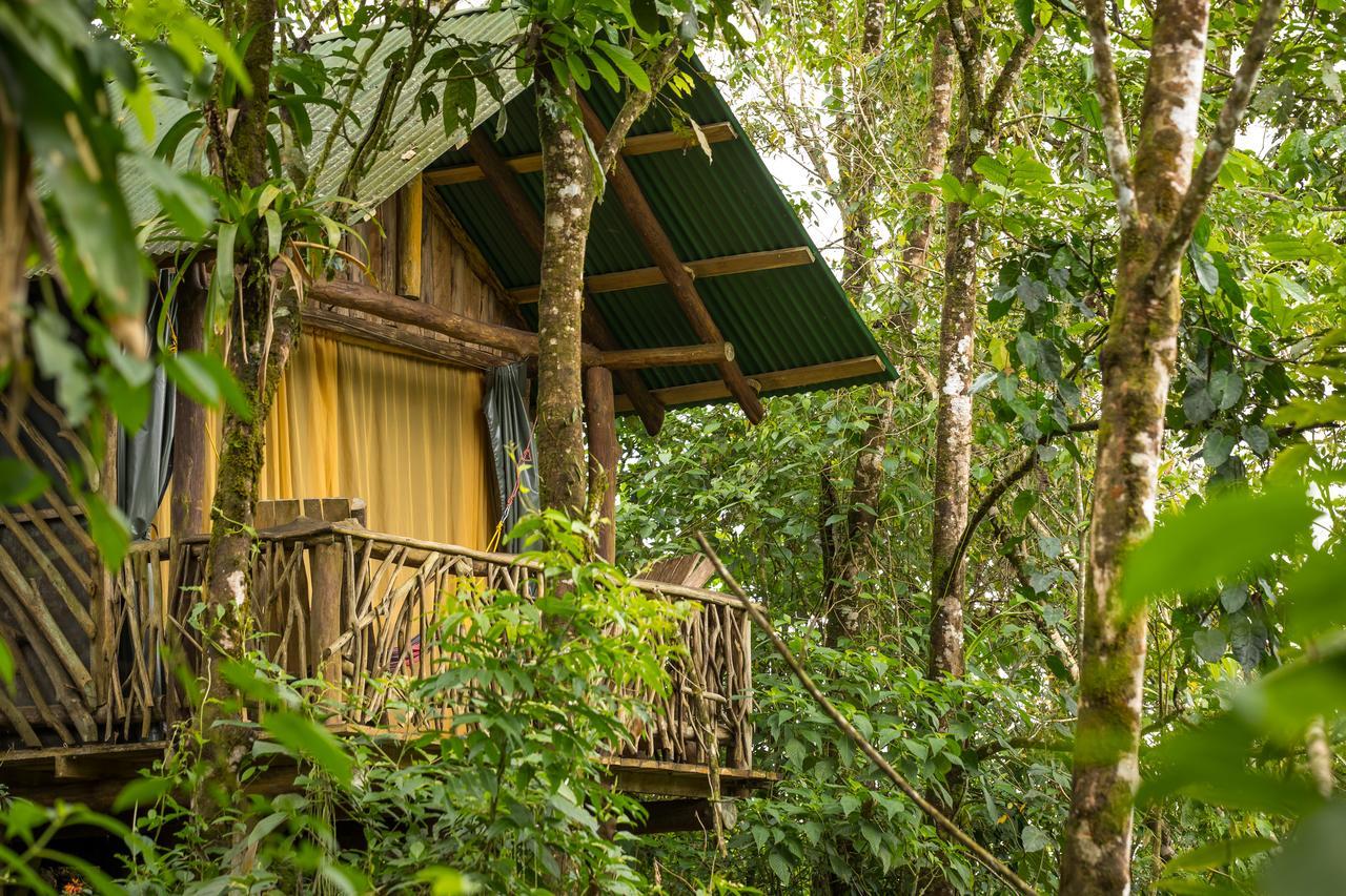 La Tigra Rainforest Lodge La Fortuna Εξωτερικό φωτογραφία