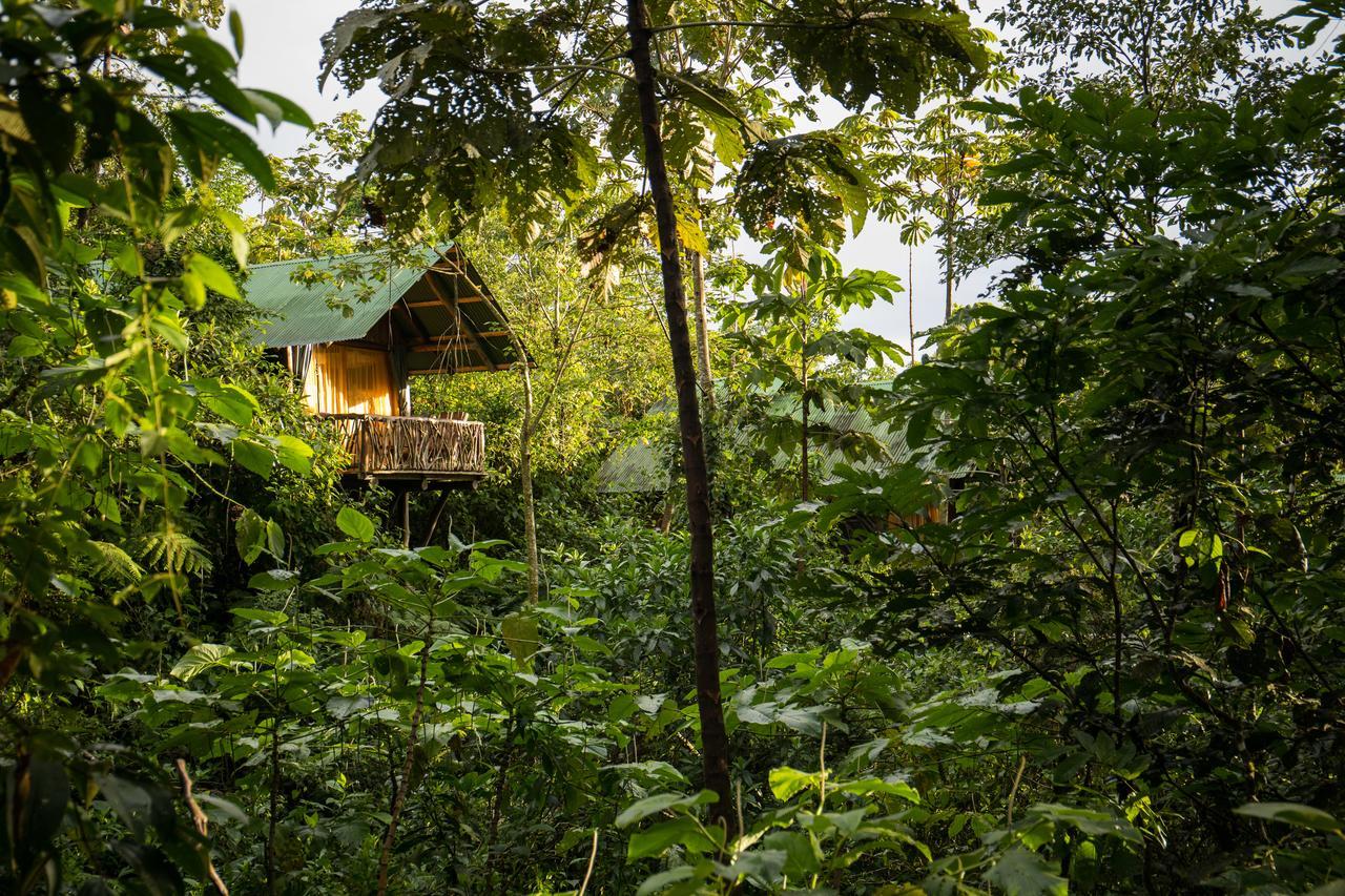 La Tigra Rainforest Lodge La Fortuna Εξωτερικό φωτογραφία