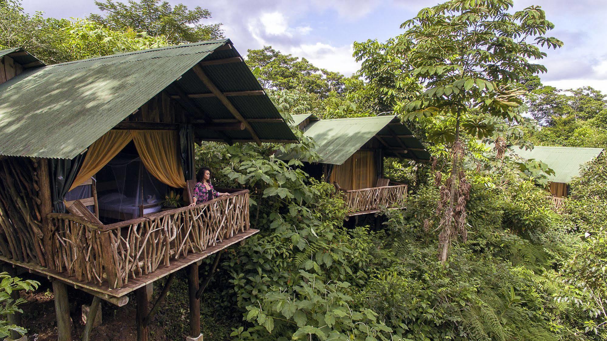 La Tigra Rainforest Lodge La Fortuna Εξωτερικό φωτογραφία